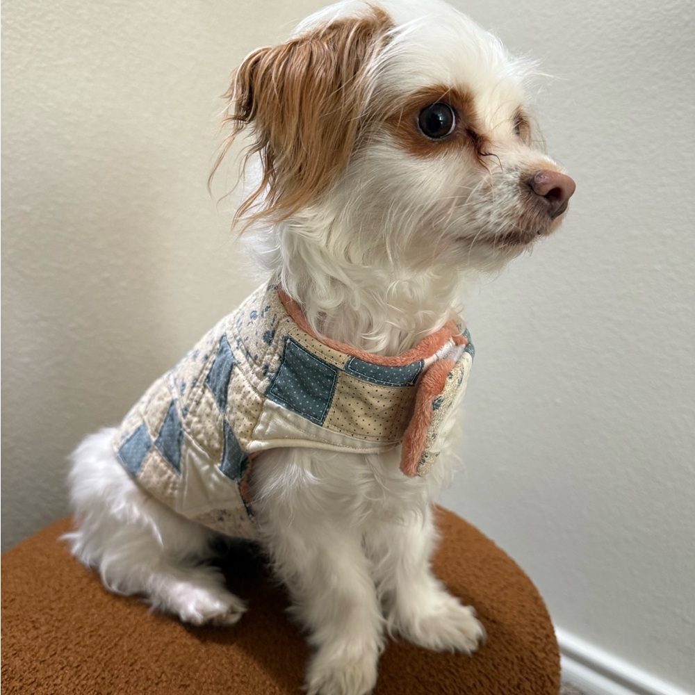 Stylish Quilted Dog Jacket - Blue and Cream